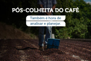 PÓS-COLHEITA DO CAFÉ: TAMBÉM É HORA DE ANALISAR E PLANEJAR