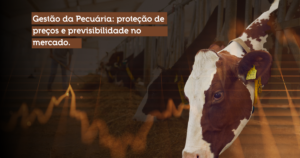 Gestão da Pecuária: proteção de preços e previsibilidade no mercado