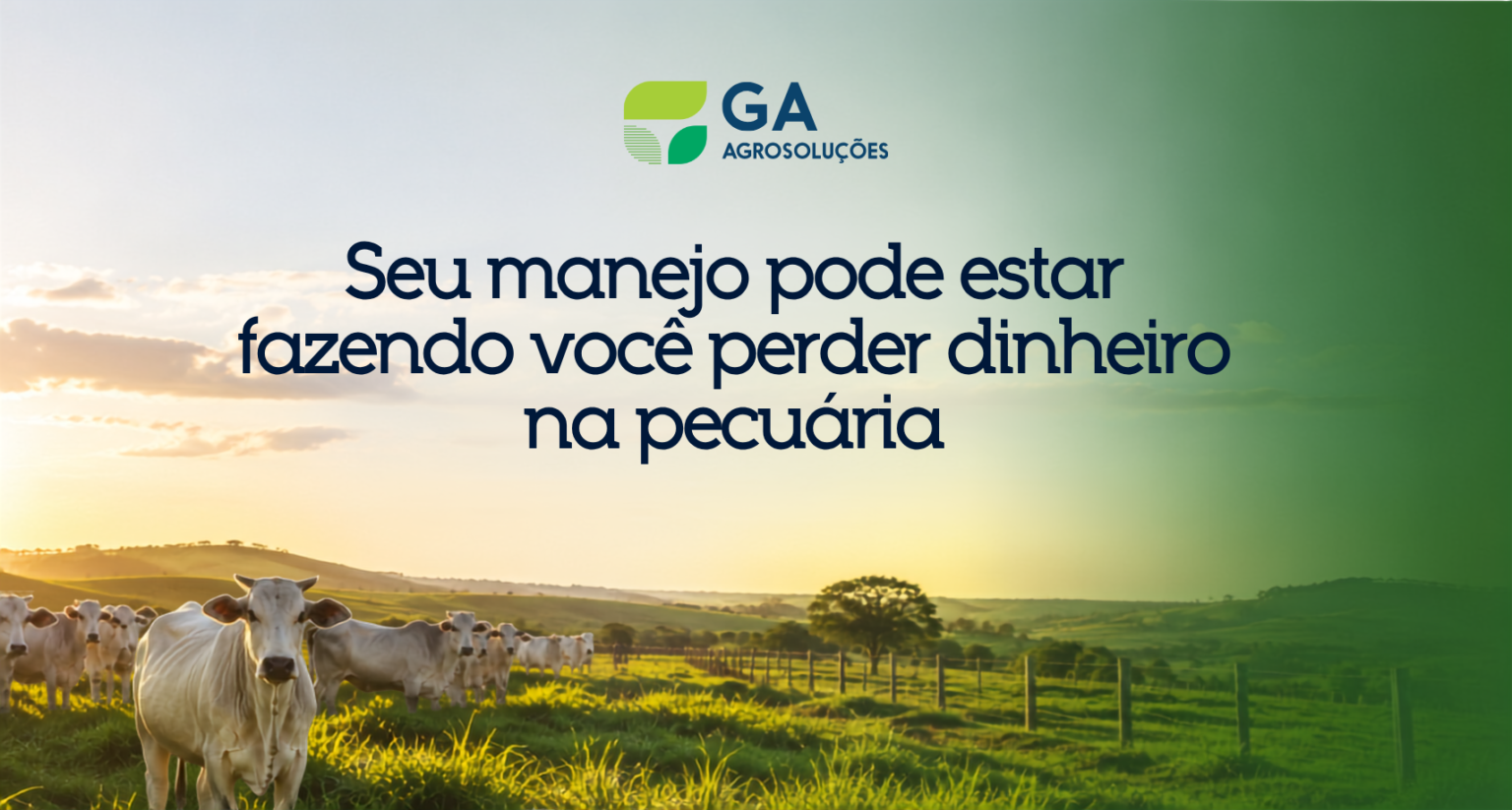 Descubra como um manejo organizado e um sistema de gestão podem reduzir custos, melhorar a rotina da fazenda e aumentar a rentabilidade na pecuária.