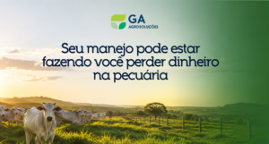 Seu manejo pode estar fazendo você perder dinheiro na pecuária