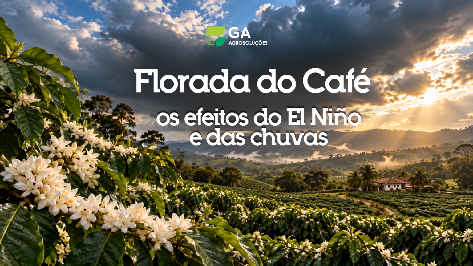 Florada Café