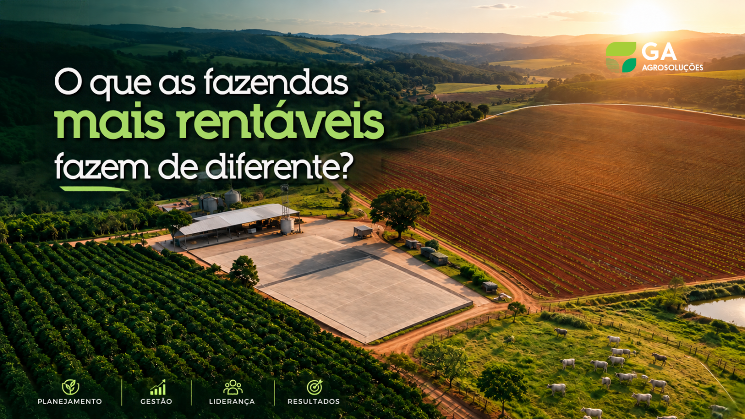 Fazendas mais rentáveis