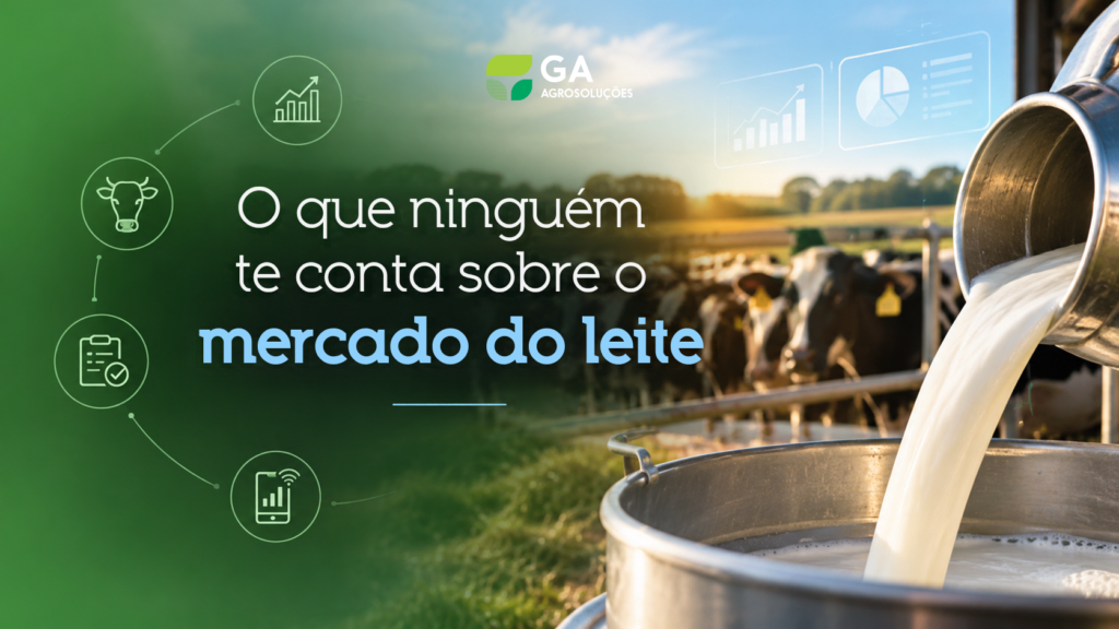 Entenda os desafios do mercado do leite e a importância da gestão agrícola.